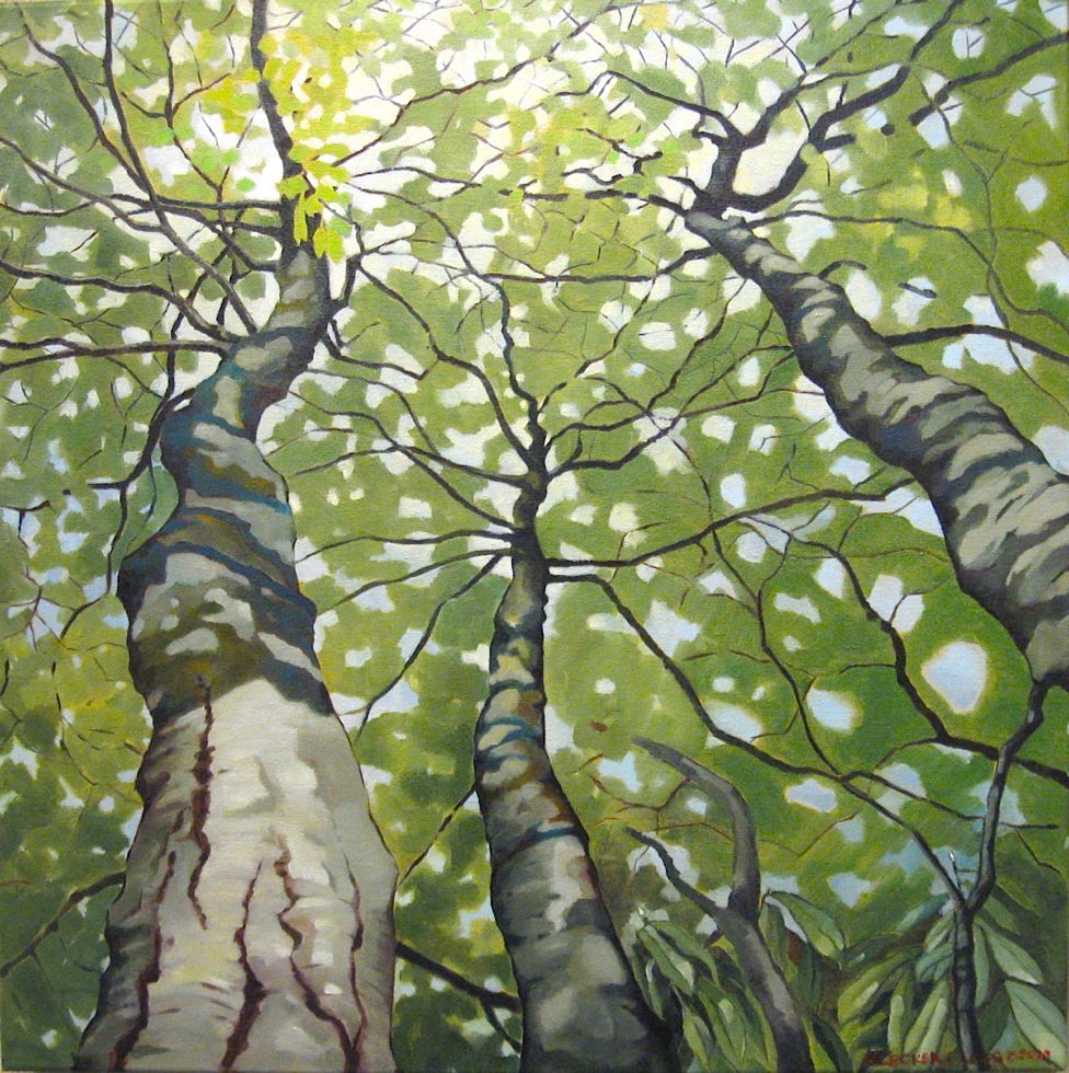 Beech tree oil painting